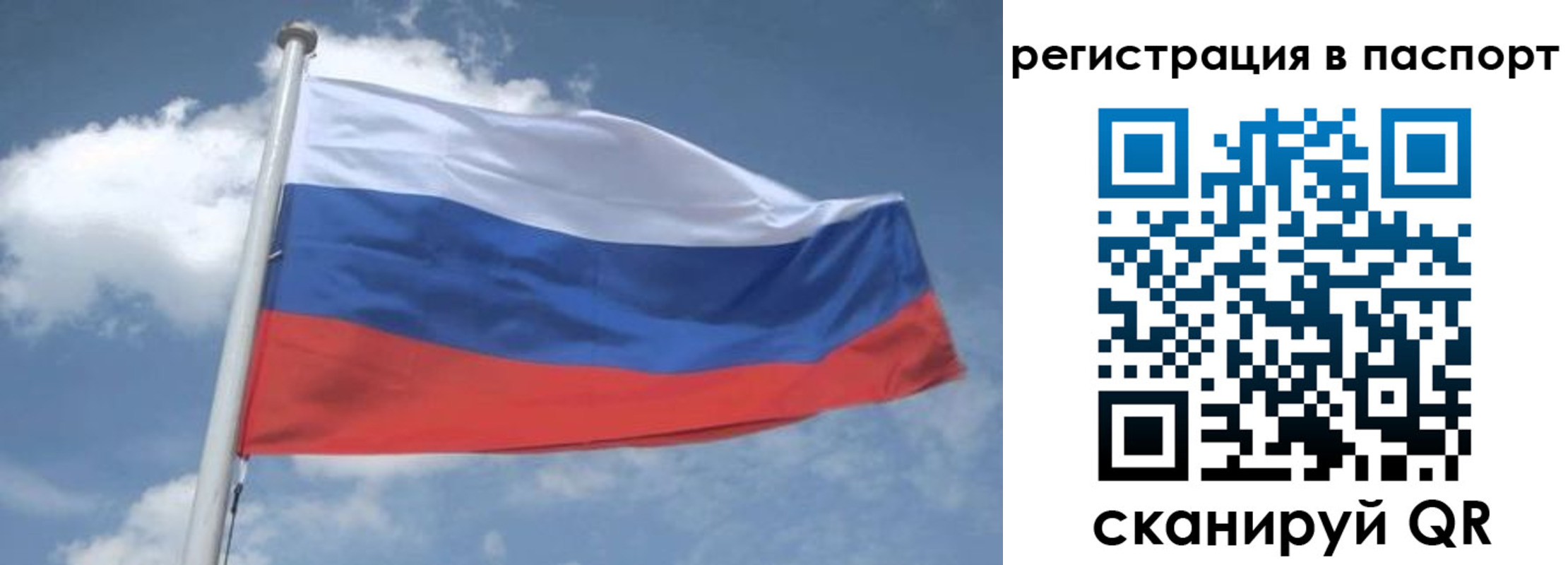 временная регистрация надежно в Коряжме